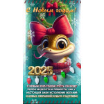 С Новым 2025 годом!